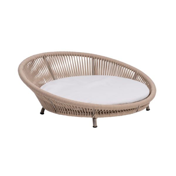 6 Chaise PET Linea